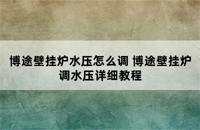 博途壁挂炉水压怎么调 博途壁挂炉调水压详细教程